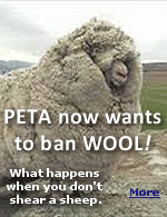 PETA is protesting wool clothing, because apparently industries that rely on keeping animals alive and healthy are baaaaad.